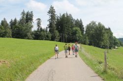 IMG_2452.JPG